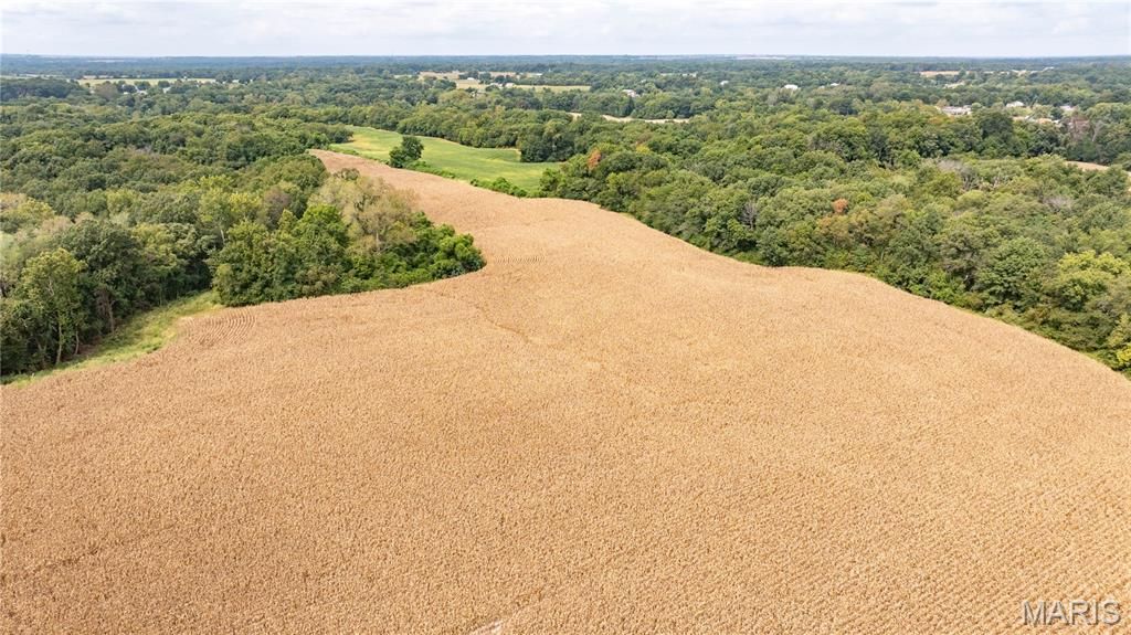 Image 20 of property listing at TBD Morning Star Lane, Brighton, IL 62012