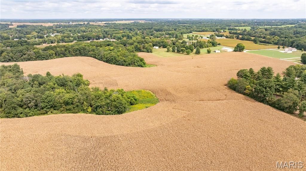 Image 21 of property listing at TBD Morning Star Lane, Brighton, IL 62012