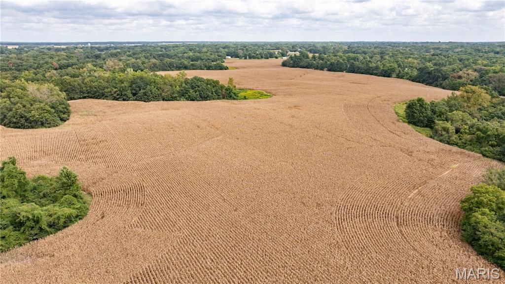 Image 9 of property listing at TBD Morning Star Lane, Brighton, IL 62012