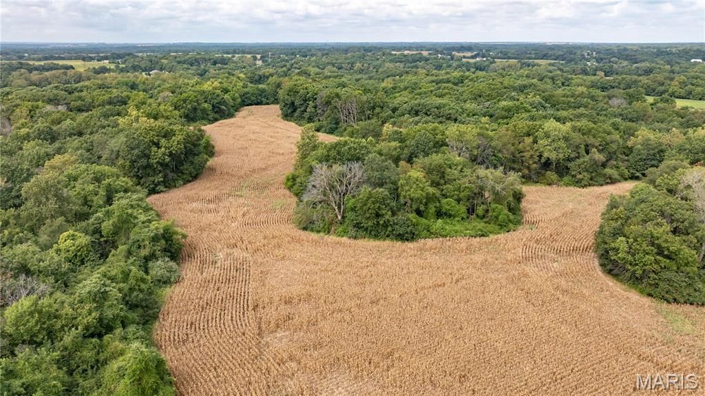 Image 10 of property listing at TBD Morning Star Lane, Brighton, IL 62012