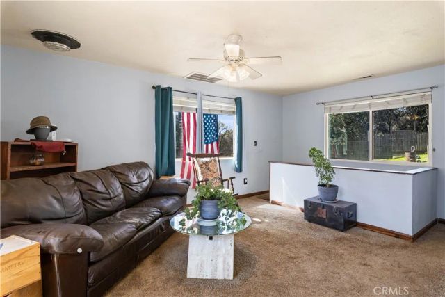 6985 Floyd Way, Nice, CA 95464