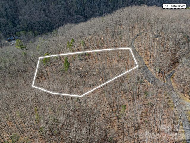 51 Wild Turkey Loop 32, Marshall, NC 28753