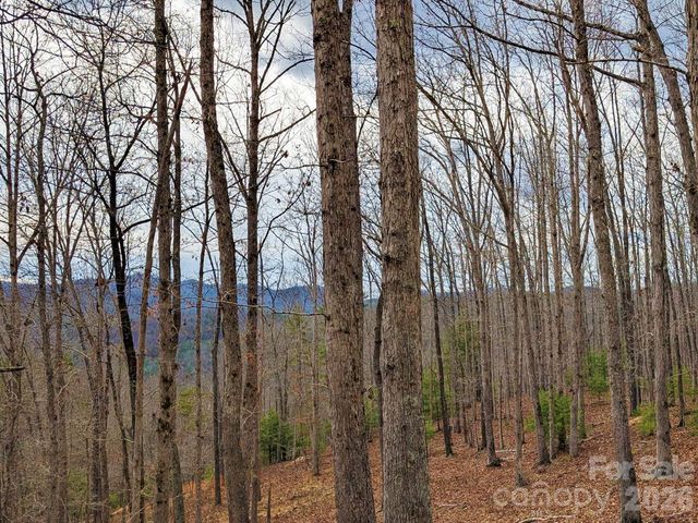 51 Wild Turkey Loop 32, Marshall, NC 28753