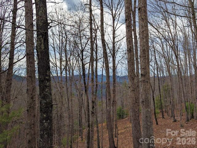 51 Wild Turkey Loop 32, Marshall, NC 28753