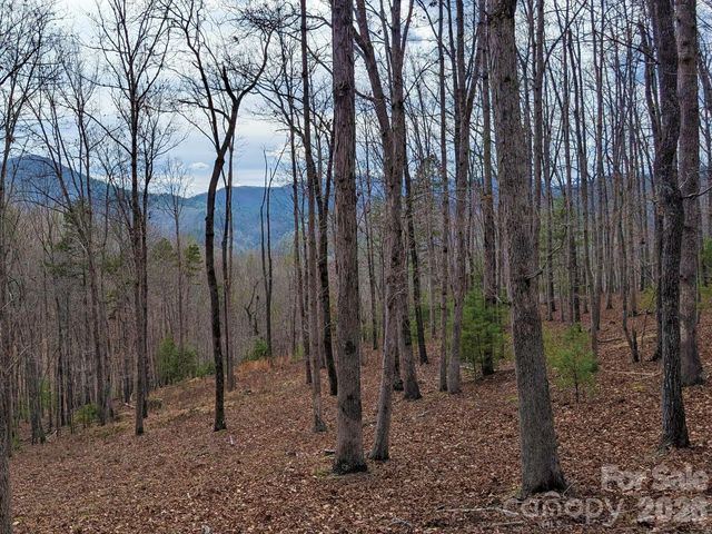 51 Wild Turkey Loop 32, Marshall, NC 28753
