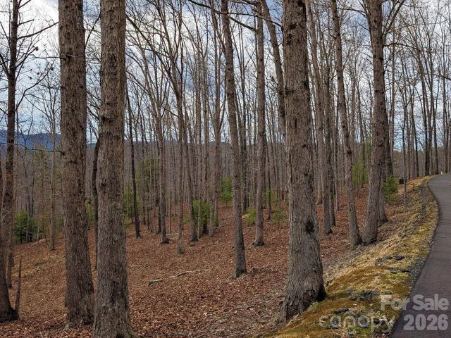 51 Wild Turkey Loop 32, Marshall, NC 28753