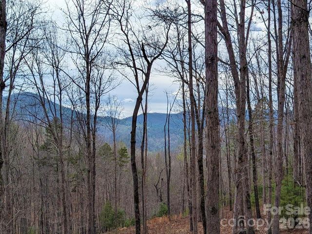51 Wild Turkey Loop 32, Marshall, NC 28753