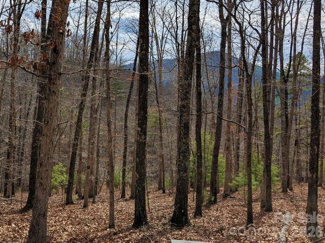 51 Wild Turkey Loop 32, Marshall, NC 28753