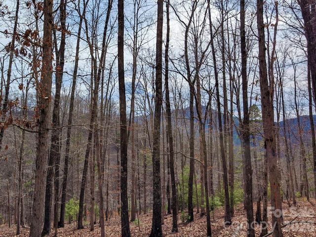 51 Wild Turkey Loop 32, Marshall, NC 28753