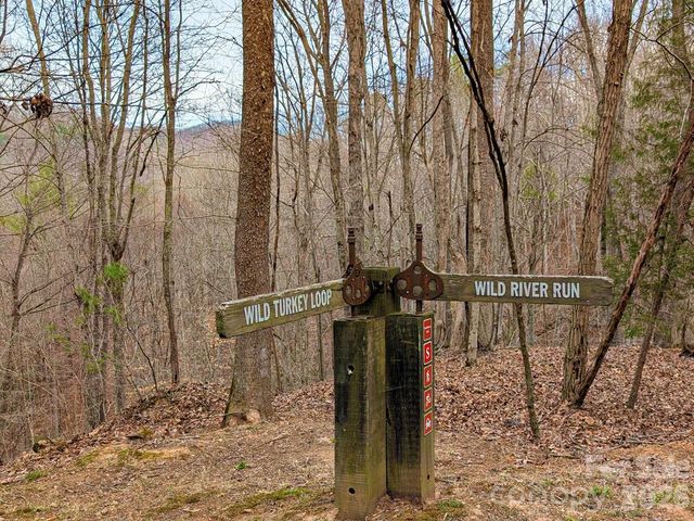 51 Wild Turkey Loop 32, Marshall, NC 28753