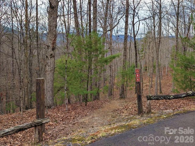51 Wild Turkey Loop 32, Marshall, NC 28753