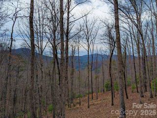 51 Wild Turkey Loop 32, Marshall, NC 28753
