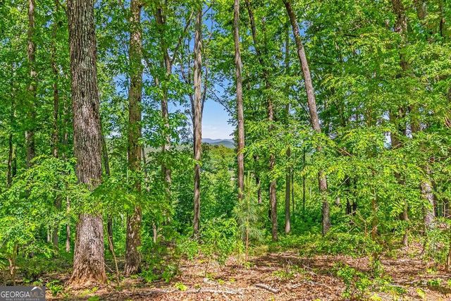 LOT 98 Winding Ridge, Blairsville, GA 30512