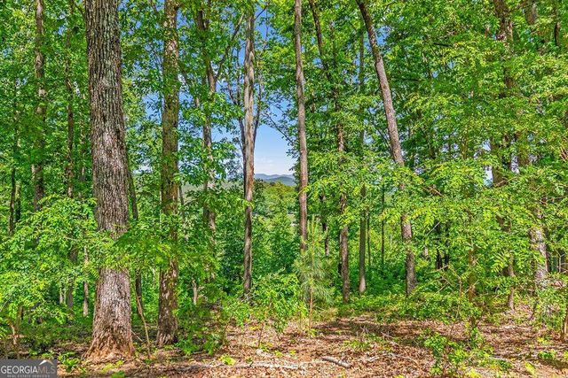 LOT 98 Winding Ridge, Blairsville, GA 30512
