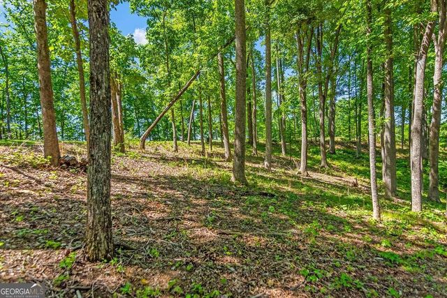 LOT 98 Winding Ridge, Blairsville, GA 30512