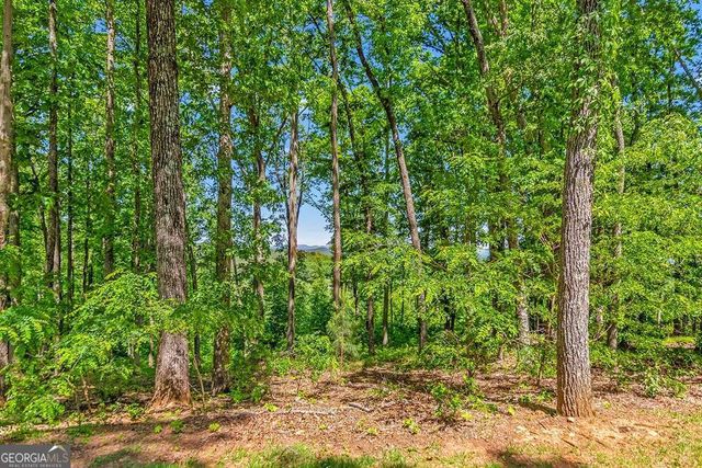 LOT 98 Winding Ridge, Blairsville, GA 30512