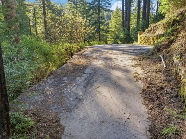 315 Alder Road, Boulder Creek, CA 95006