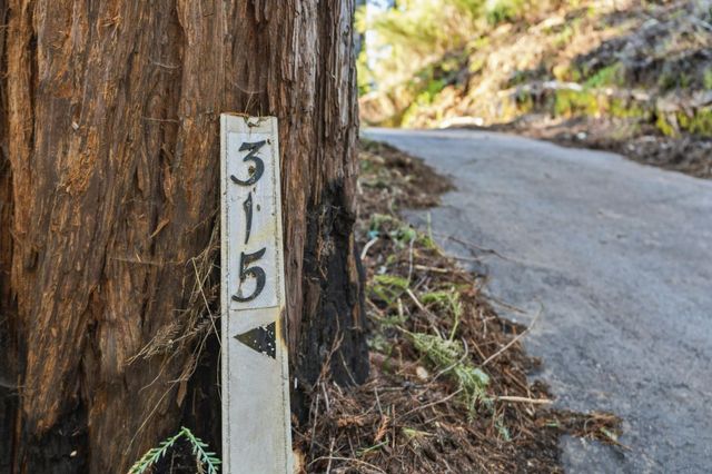 315 Alder Road, Boulder Creek, CA 95006
