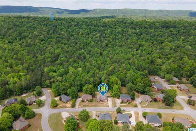 128 MAGNOLIA RIDGE CIRCLE, Chelsea, AL 35043