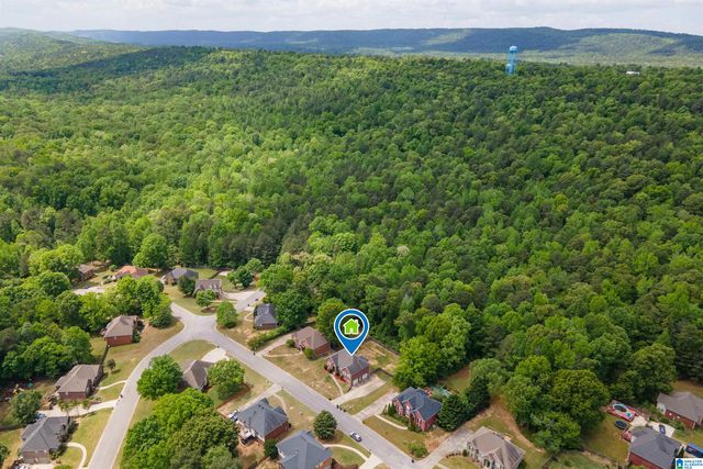 128 MAGNOLIA RIDGE CIRCLE, Chelsea, AL 35043