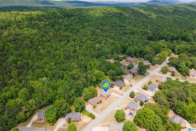 128 MAGNOLIA RIDGE CIRCLE, Chelsea, AL 35043