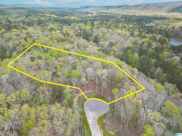 773 CAVALIER RIDGE, Birmingham, AL 35242