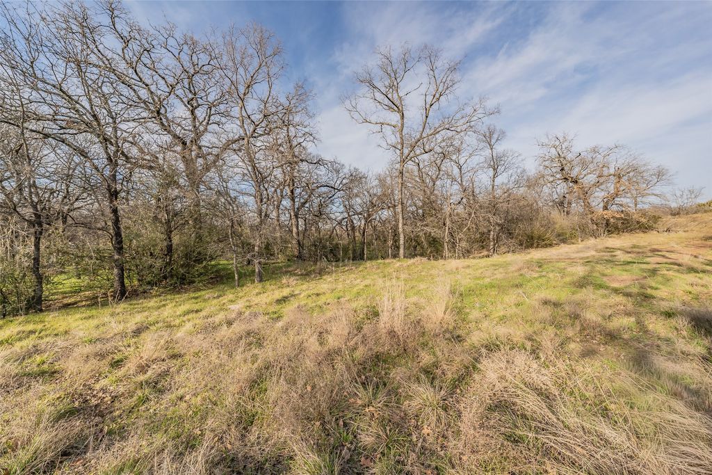 3117 W Division Street, Arlington, TX 76012 — photo 5