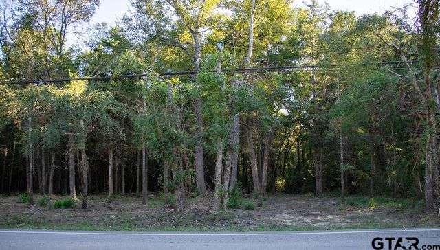 11503 C R 168, Tyler, TX 75703