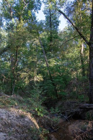 11503 C R 168, Tyler, TX 75703