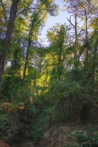 11503 C R 168, Tyler, TX 75703