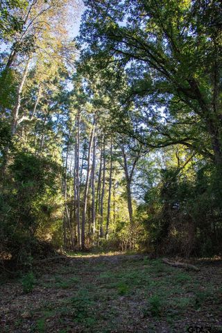 11503 C R 168, Tyler, TX 75703