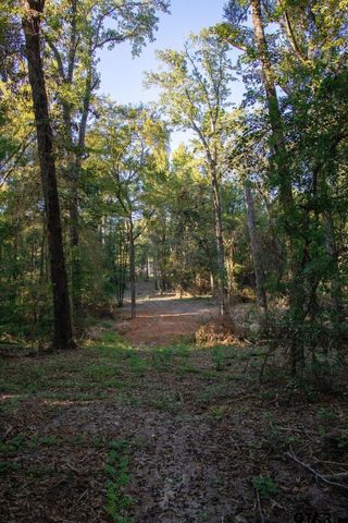 11503 C R 168, Tyler, TX 75703