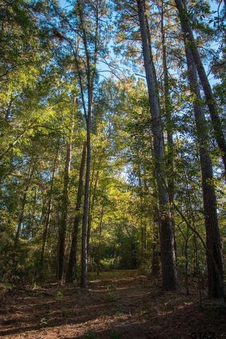 11503 C R 168, Tyler, TX 75703