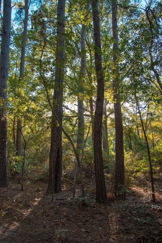 11503 C R 168, Tyler, TX 75703