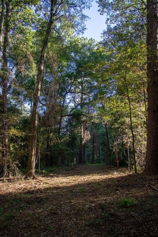 11503 C R 168, Tyler, TX 75703