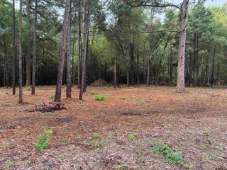 11503 C R 168, Tyler, TX 75703