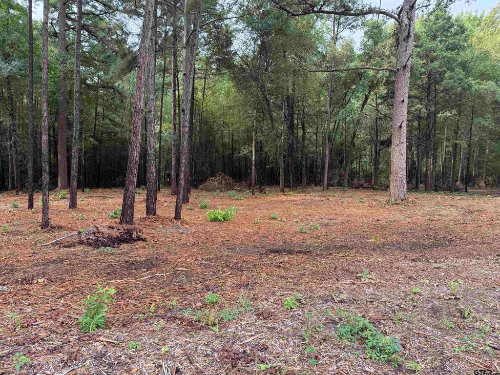 11503 C R 168, Tyler, TX 75703
