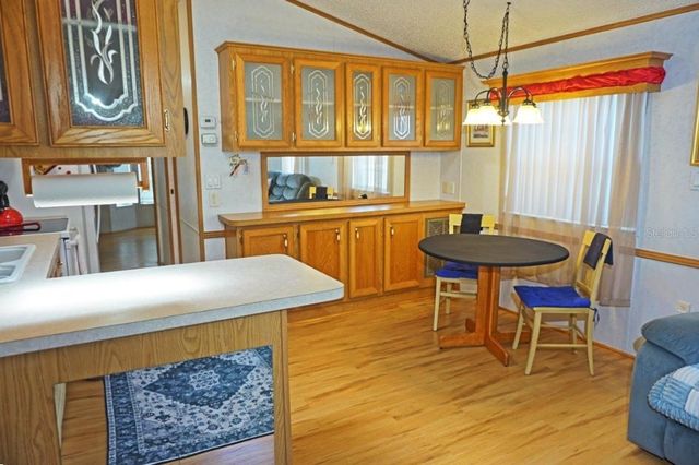 21145 LAZY DAYS CIRCLE, Lutz, FL 33558