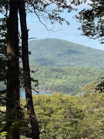 LOT 3 Whiskey Mountain Estates, Hiawassee, GA 30546