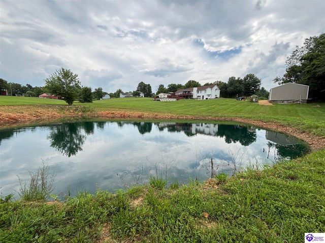 1380 Buck Knobs Road, Ekron, KY 40117