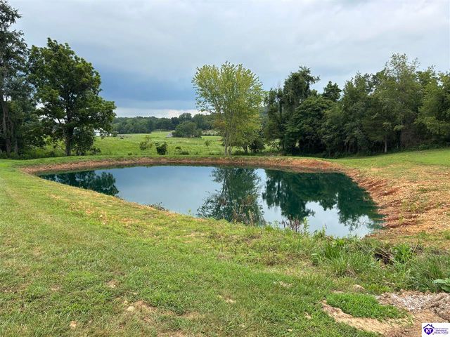 1380 Buck Knobs Road, Ekron, KY 40117