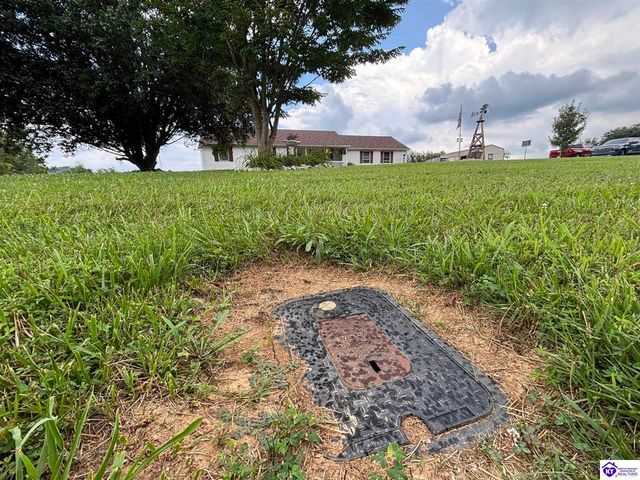 1380 Buck Knobs Road, Ekron, KY 40117