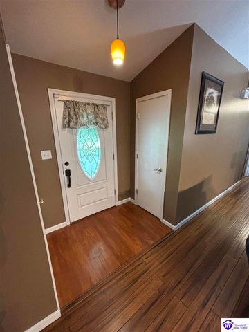 1380 Buck Knobs Road, Ekron, KY 40117