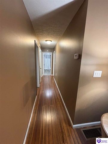 1380 Buck Knobs Road, Ekron, KY 40117