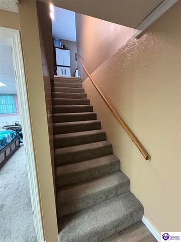 1380 Buck Knobs Road, Ekron, KY 40117