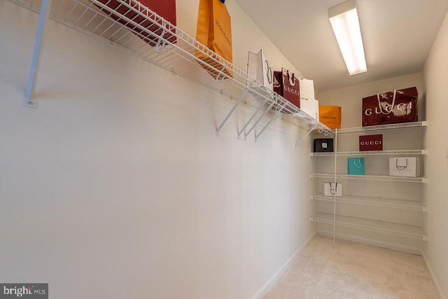 5265 BEAR HOLLOW LN, Amissville, VA 20106