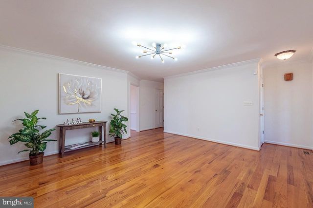 5265 BEAR HOLLOW LN, Amissville, VA 20106