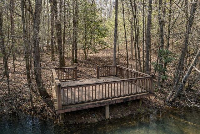 94 Cherry Lake Court, Blue Ridge, GA 30513