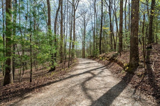 94 Cherry Lake Court, Blue Ridge, GA 30513