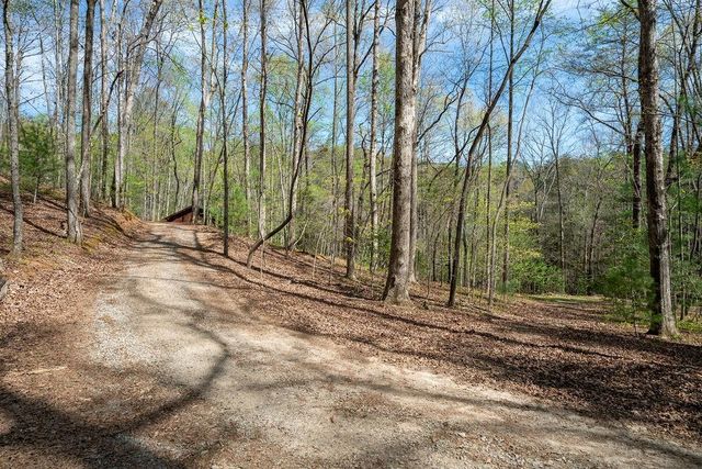 94 Cherry Lake Court, Blue Ridge, GA 30513